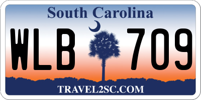 SC license plate WLB709