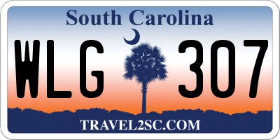 SC license plate WLG307
