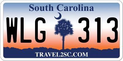SC license plate WLG313