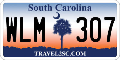 SC license plate WLM307
