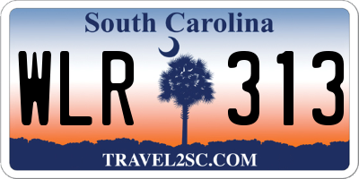 SC license plate WLR313