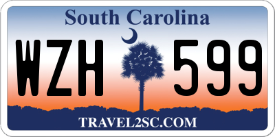 SC license plate WZH599