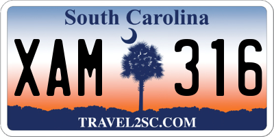 SC license plate XAM316