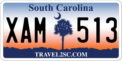 SC license plate XAM513