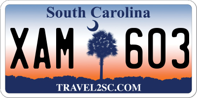 SC license plate XAM603