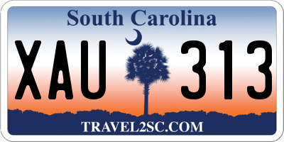 SC license plate XAU313