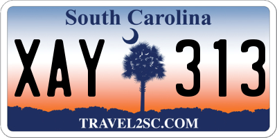 SC license plate XAY313