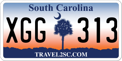 SC license plate XGG313