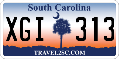 SC license plate XGI313