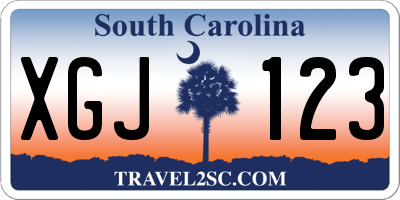 SC license plate XGJ123