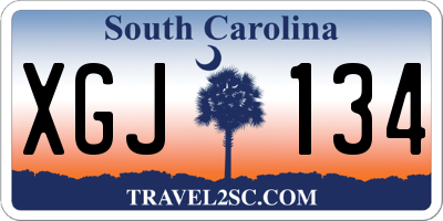 SC license plate XGJ134