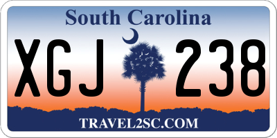 SC license plate XGJ238