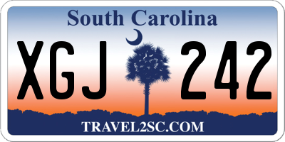 SC license plate XGJ242