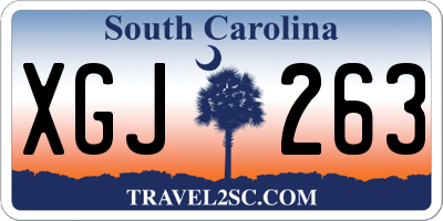 SC license plate XGJ263