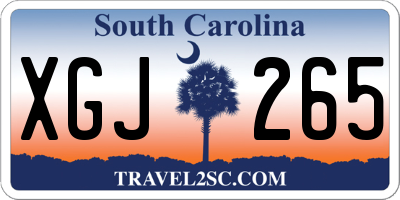 SC license plate XGJ265