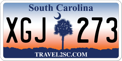 SC license plate XGJ273