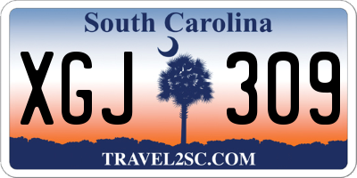 SC license plate XGJ309