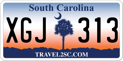 SC license plate XGJ313