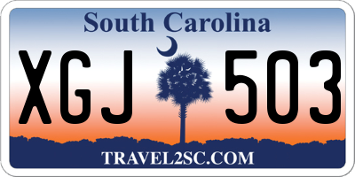 SC license plate XGJ503