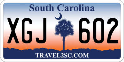 SC license plate XGJ602