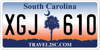 SC license plate XGJ610