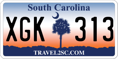SC license plate XGK313