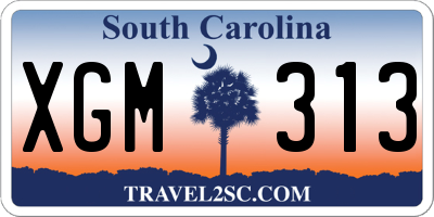 SC license plate XGM313