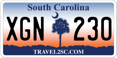 SC license plate XGN230