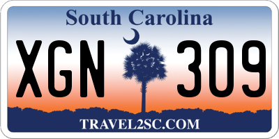 SC license plate XGN309