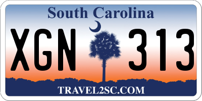 SC license plate XGN313