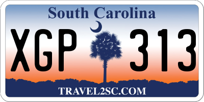SC license plate XGP313