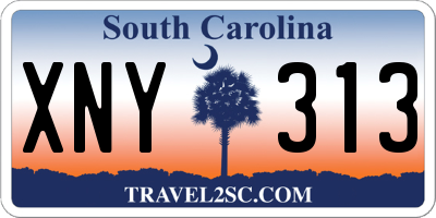 SC license plate XNY313