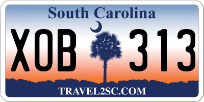 SC license plate XOB313