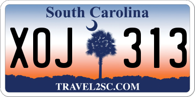 SC license plate XOJ313