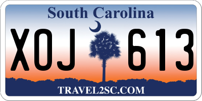 SC license plate XOJ613