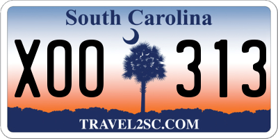 SC license plate XOO313