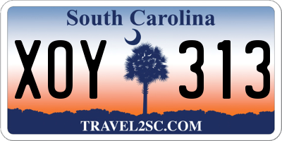 SC license plate XOY313