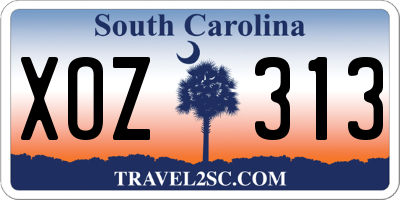 SC license plate XOZ313