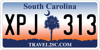 SC license plate XPJ313