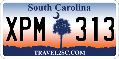 SC license plate XPM313