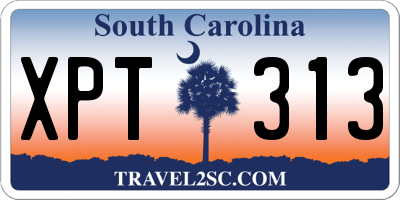 SC license plate XPT313