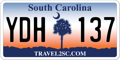 SC license plate YDH137