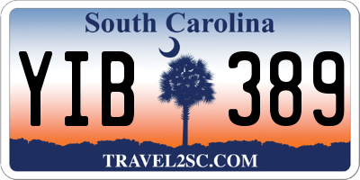 SC license plate YIB389
