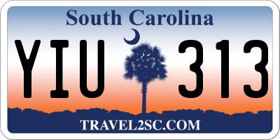 SC license plate YIU313
