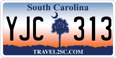 SC license plate YJC313