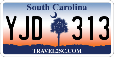 SC license plate YJD313