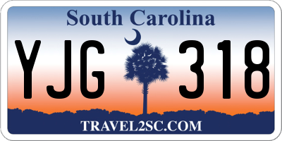 SC license plate YJG318