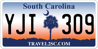 SC license plate YJI309