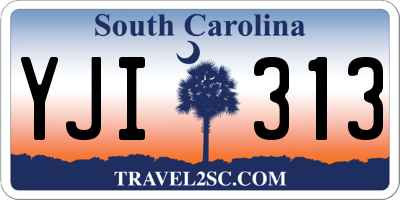 SC license plate YJI313