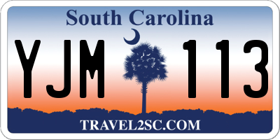 SC license plate YJM113